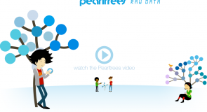 Pearltree, a new platform for exhibits?
