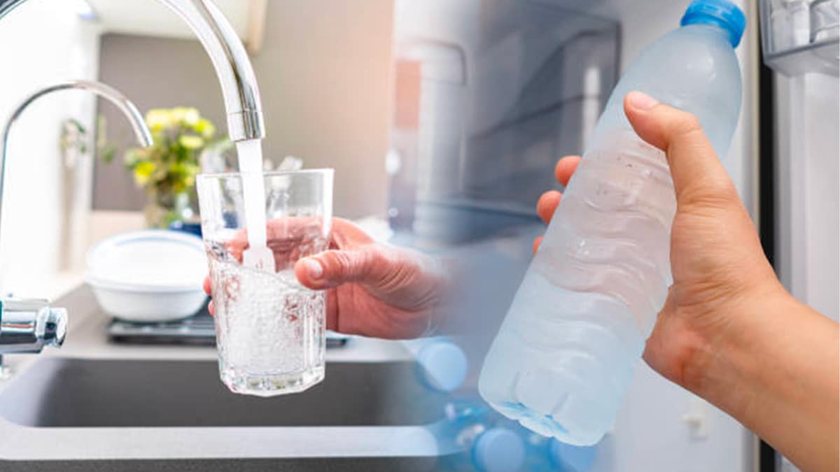 Eau en bouteille vs eau du robinet : laquelle choisir pour votre santé selon un médecin